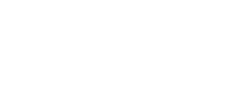 PoliTO PoliTO